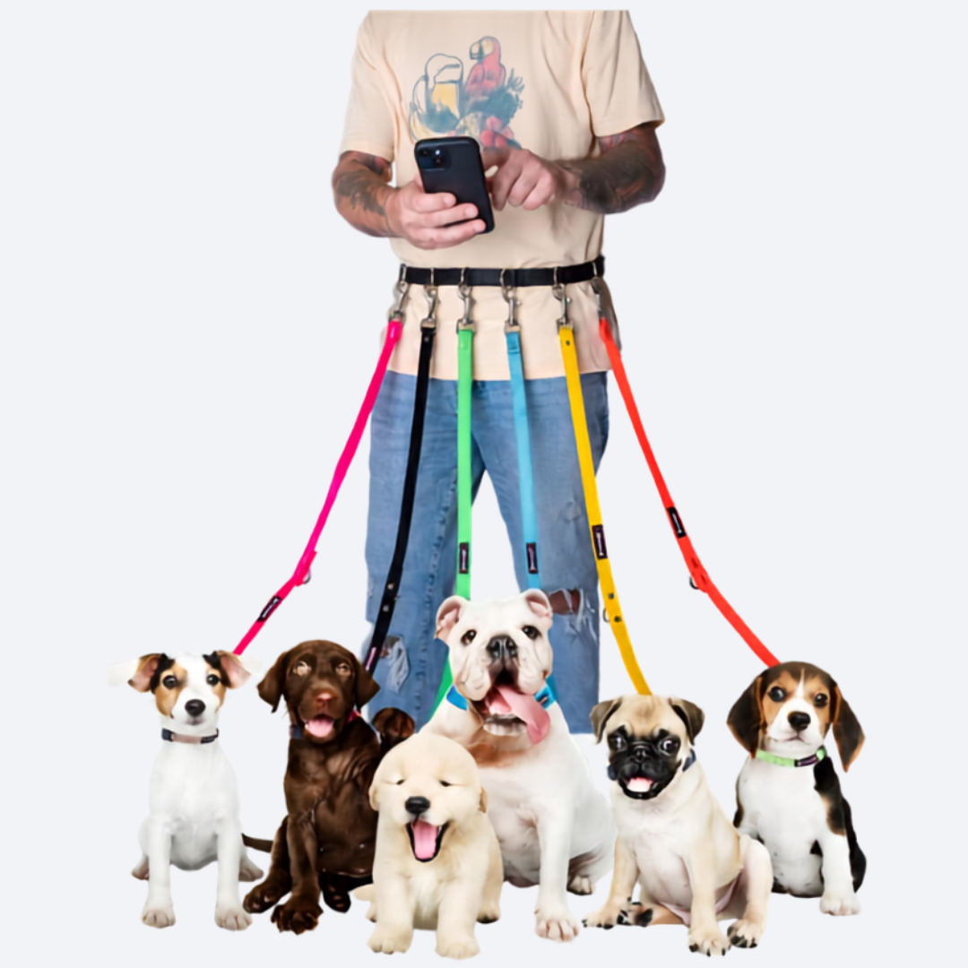 Leashes