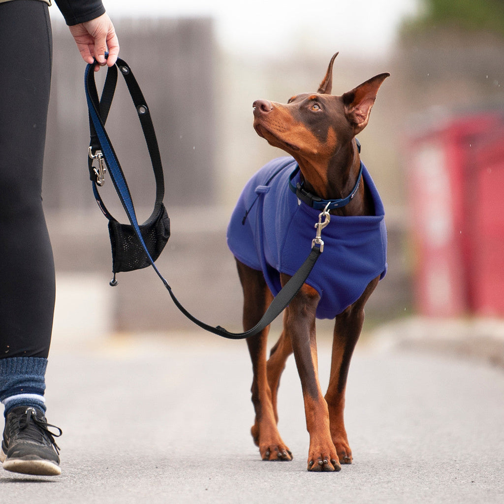 Smoochy Poochy hands-free leash, 6ft, held by a person walking a Doberman in a blue coat on a pathway.