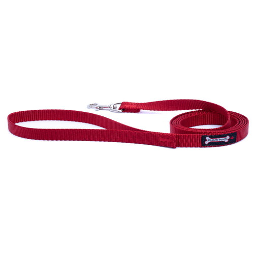 Red nylon dog leash with metal clasp