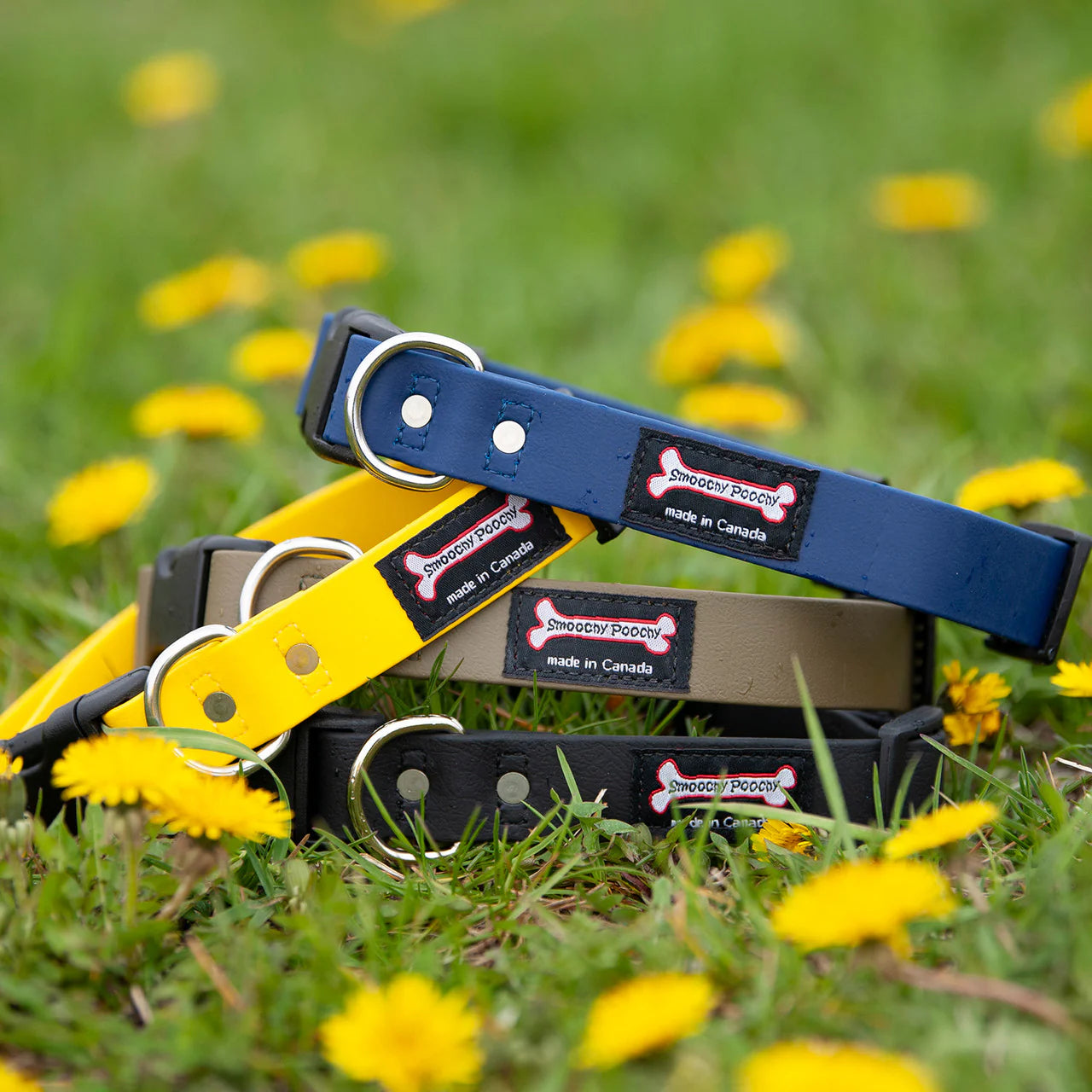 Four Dog Collars stacked on top of each other in a field