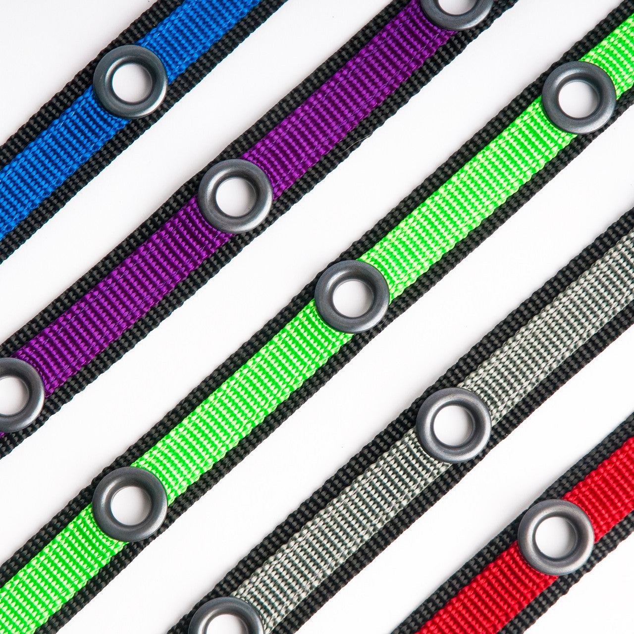 Smoochy Poochy hands-free leash in purple, green, black, gray, and red with double-ended clips on a white background.