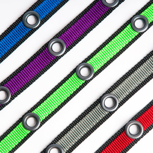 Smoochy Poochy hands-free leash in purple, green, black, gray, and red with double-ended clips on a white background.