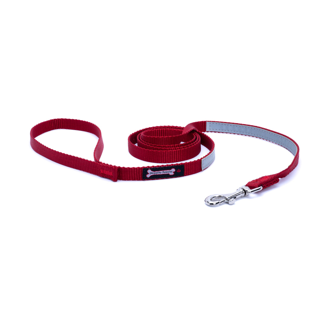 Red nylon dog leash coiled on a white background with a reflective safety strip, silver clasp