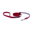 Red nylon dog leash coiled on a white background with a reflective safety strip, silver clasp