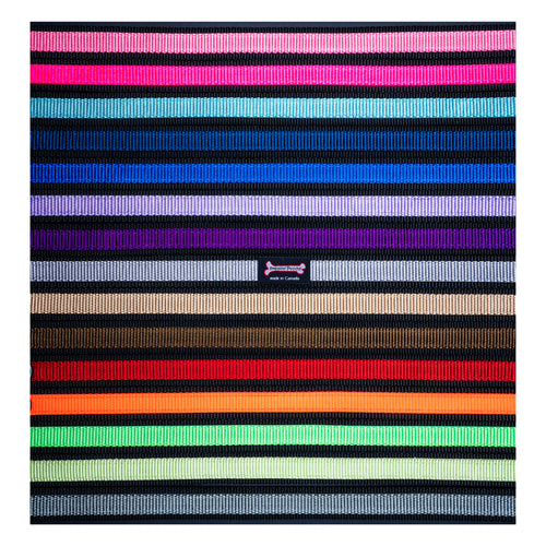 Smoochy Poochy nylon webbing color swatch chart with Made in Canada tag, showing multiple color options in horizontal strips