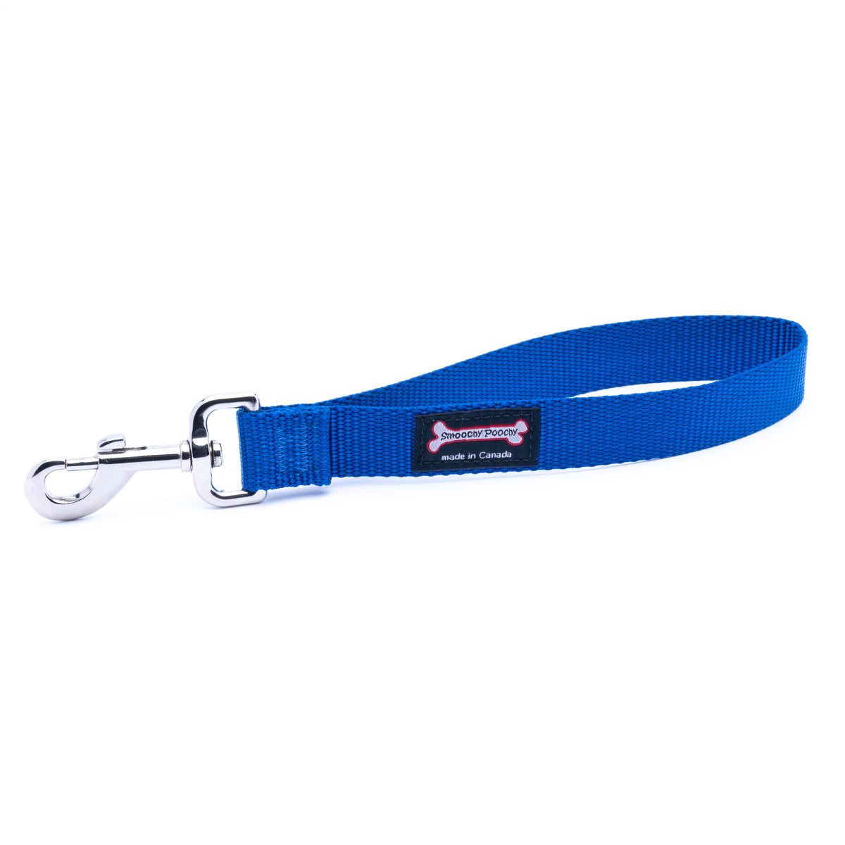 A ocean blue nylon dog leash with a silver metal snap hook clasp
