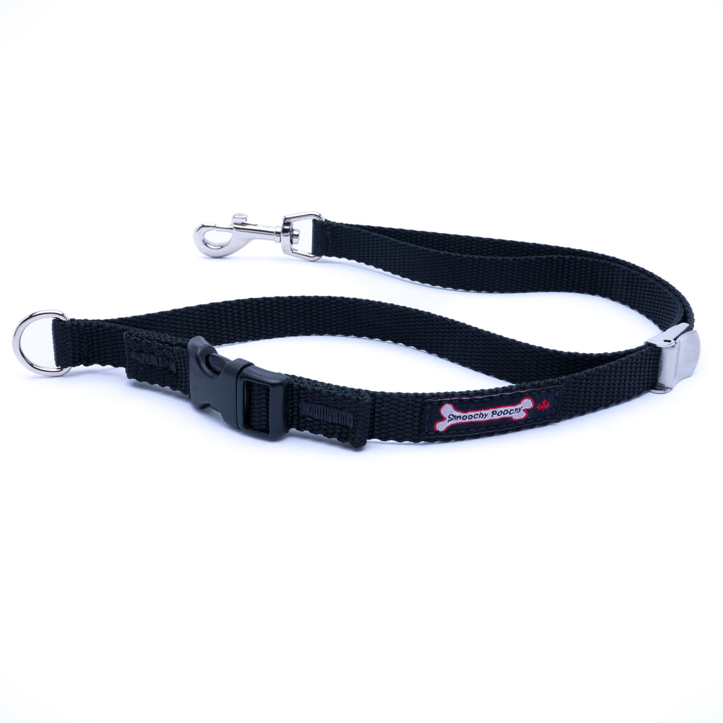 A black nylon dog leash with a silver metal swivel snap hook, quick-release plastic buckle