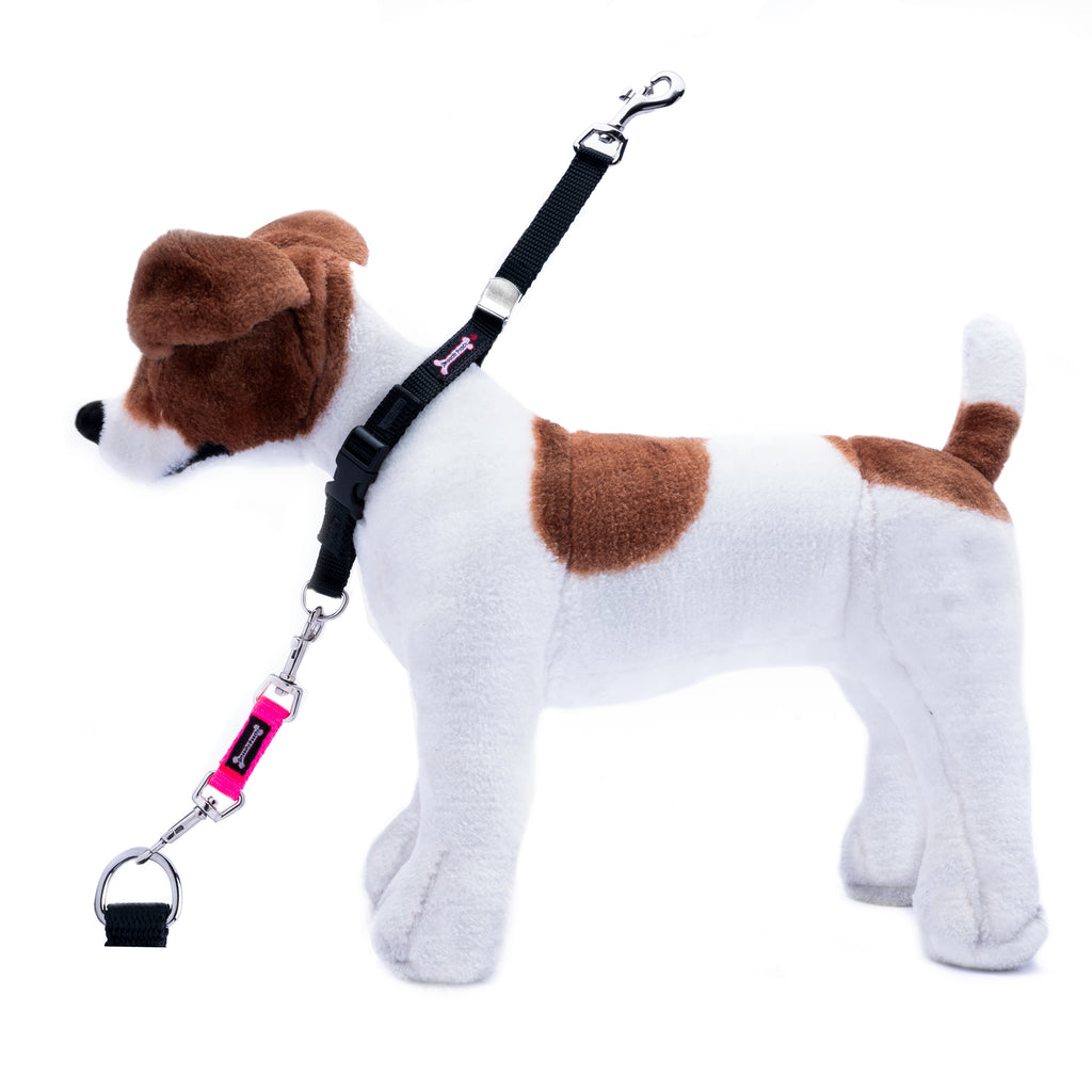A plush toy dog in white and brown, wearing a black harness and attached pink-and-black leash