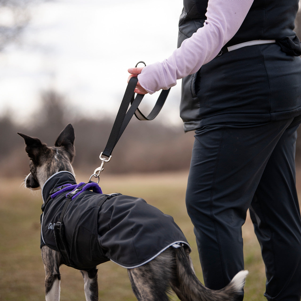 Smoochy Poochy hands-free leash in use, attached to a dog wearing a coat, as a person walks outdoors.