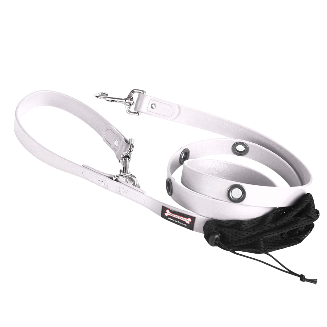 Smoochy Poochy Biothane Hands-Free Dog Leash 6ft