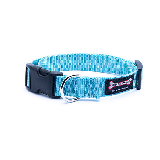 Turquoise nylon dog collar with side-release buckle and metal D-ring