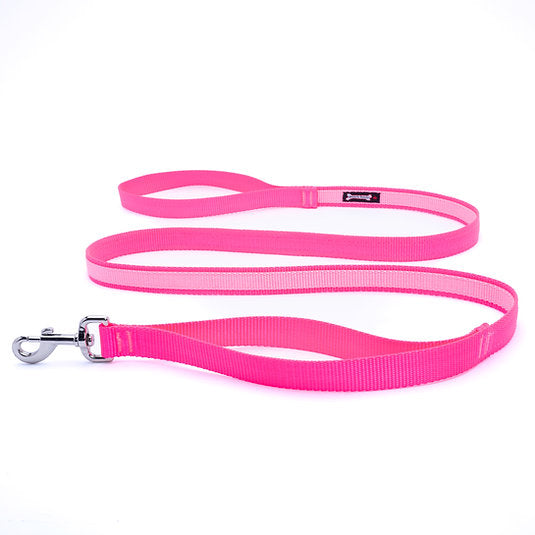hot pink and baby pink two-tone nylon dog leash with metal clip and Smoochy Poochy branded tag