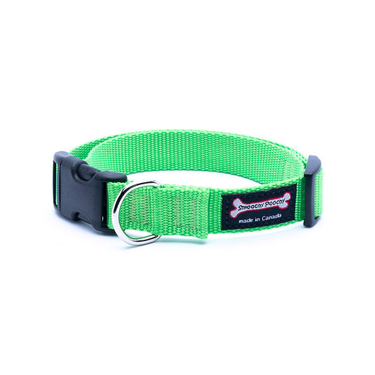 Apple green nylon dog collar with side-release buckle and metal D-ring