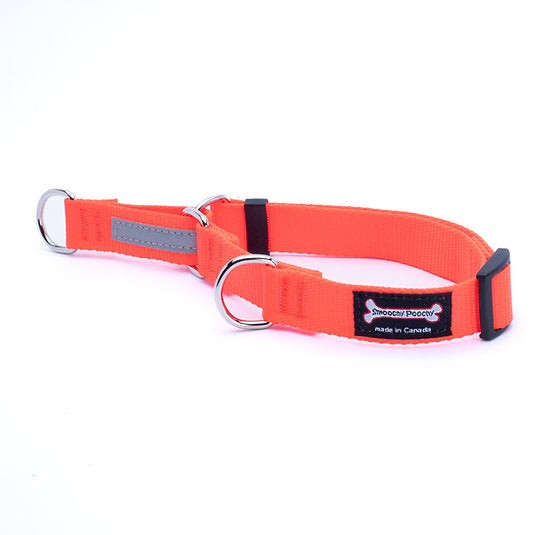 Orange nylon martingale dog collar with reflective control loop and metal D-rings
