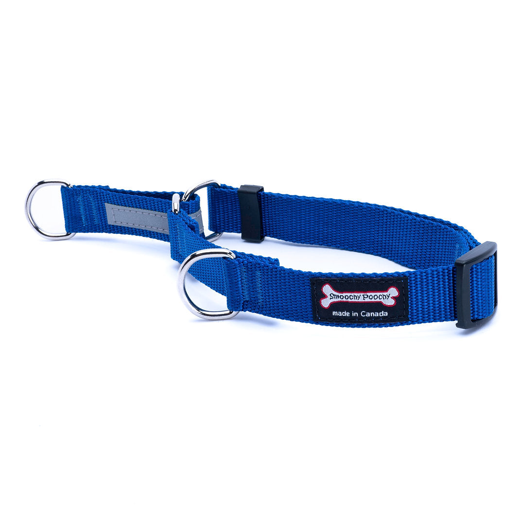 Ocean blue nylon martingale dog collar with reflective control loop and metal D-rings
