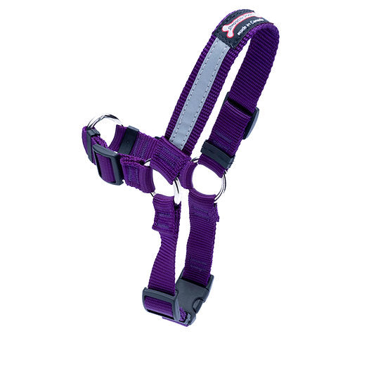 Purple Smoochy Poochy Front Clip Harness with reflective strap