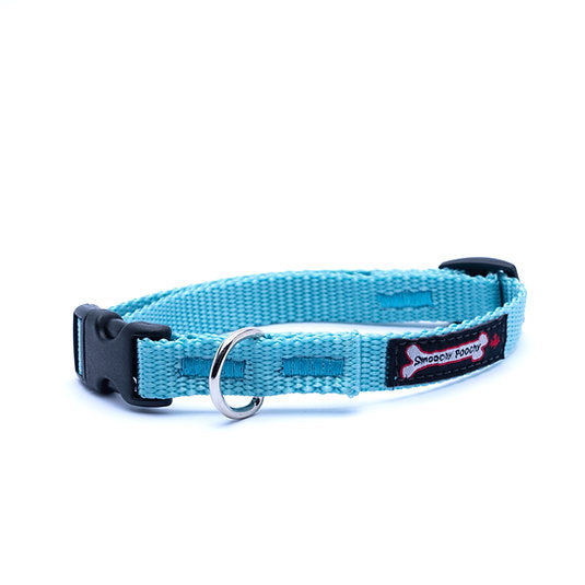 Turquoise nylon dog collar with side-release buckle and metal D-ring
