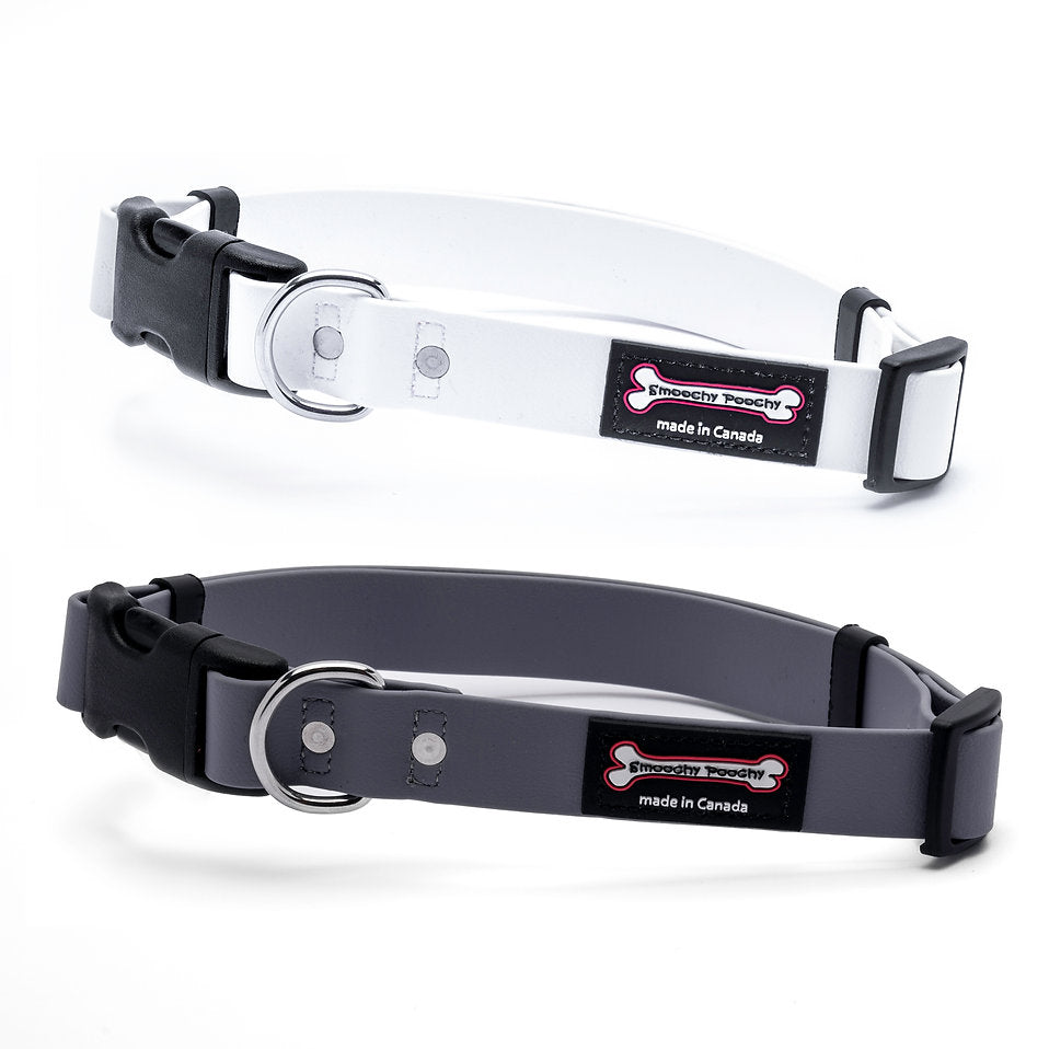 Smoochy Poochy Poly Quick Release Collar