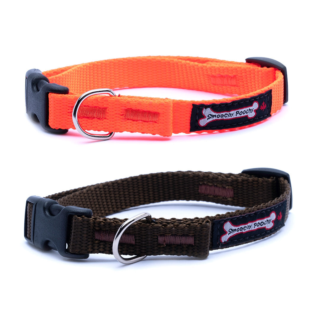 Orange and Brown nylon dog collars with side-release buckle and metal D-ring