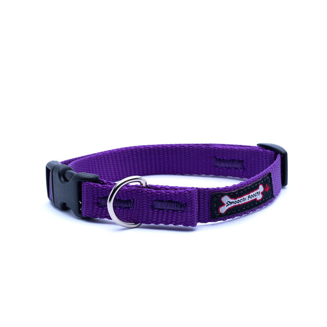 Purple nylon dog collar with side-release buckle and metal D-ring