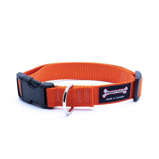 Pumpkin nylon dog collar with side-release buckle and metal D-ring