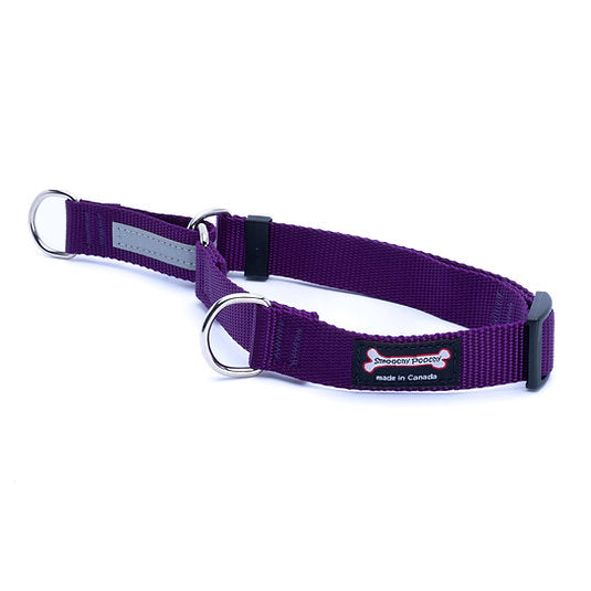 Purple nylon martingale dog collar with reflective control loop and metal D-rings