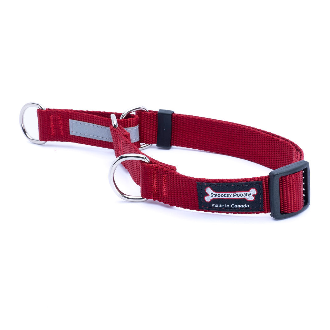 Red nylon martingale dog collar with reflective control loop and metal D-rings