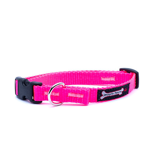 Hot Pink nylon dog collar with side-release buckle and metal D-ring