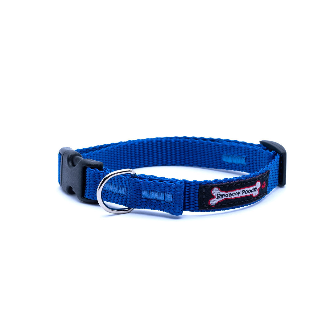 Ocean blue nylon dog collar with side-release buckle and metal D-ring