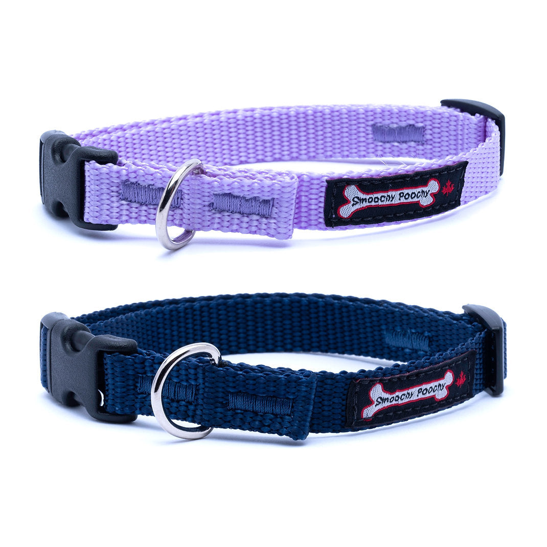 Lavender and Navy nylon dog collars with side-release buckle and metal D-ring
