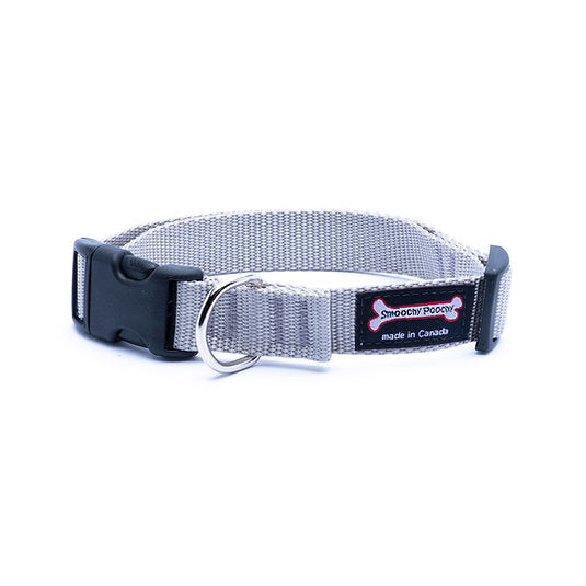 Silver nylon dog collar with side-release buckle and metal D-ring