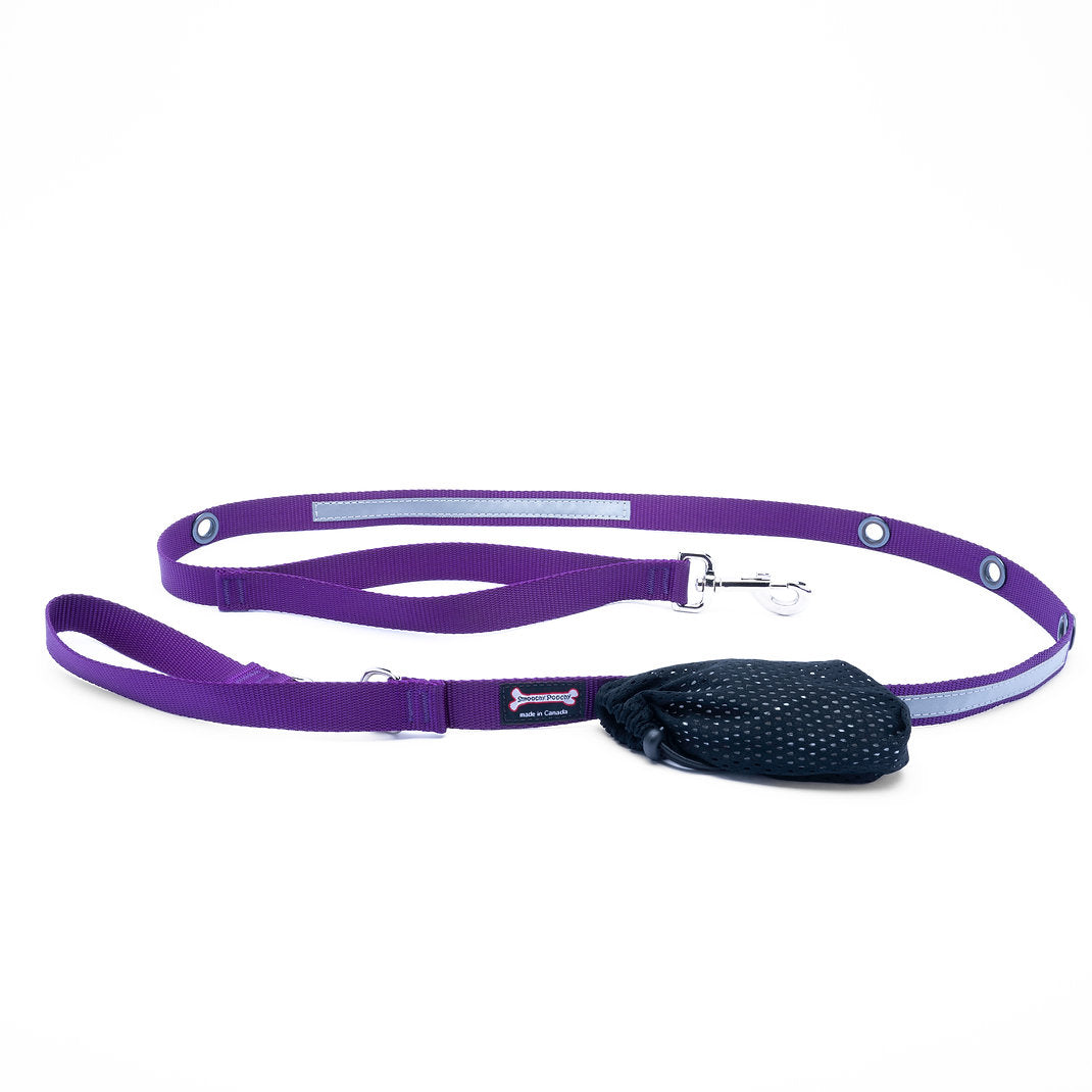Smoochy Poochy Nylon Reflective Hands-Free Leash - 6ft