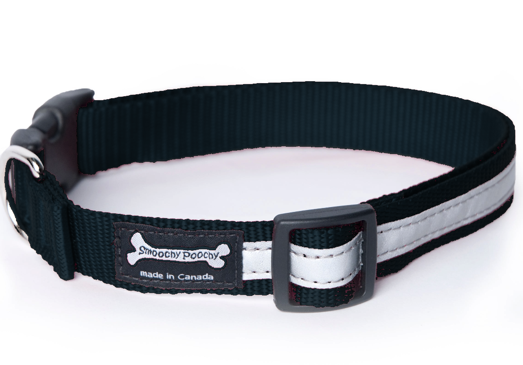 Smoochy Poochy Nylon Reflective Dog Collar