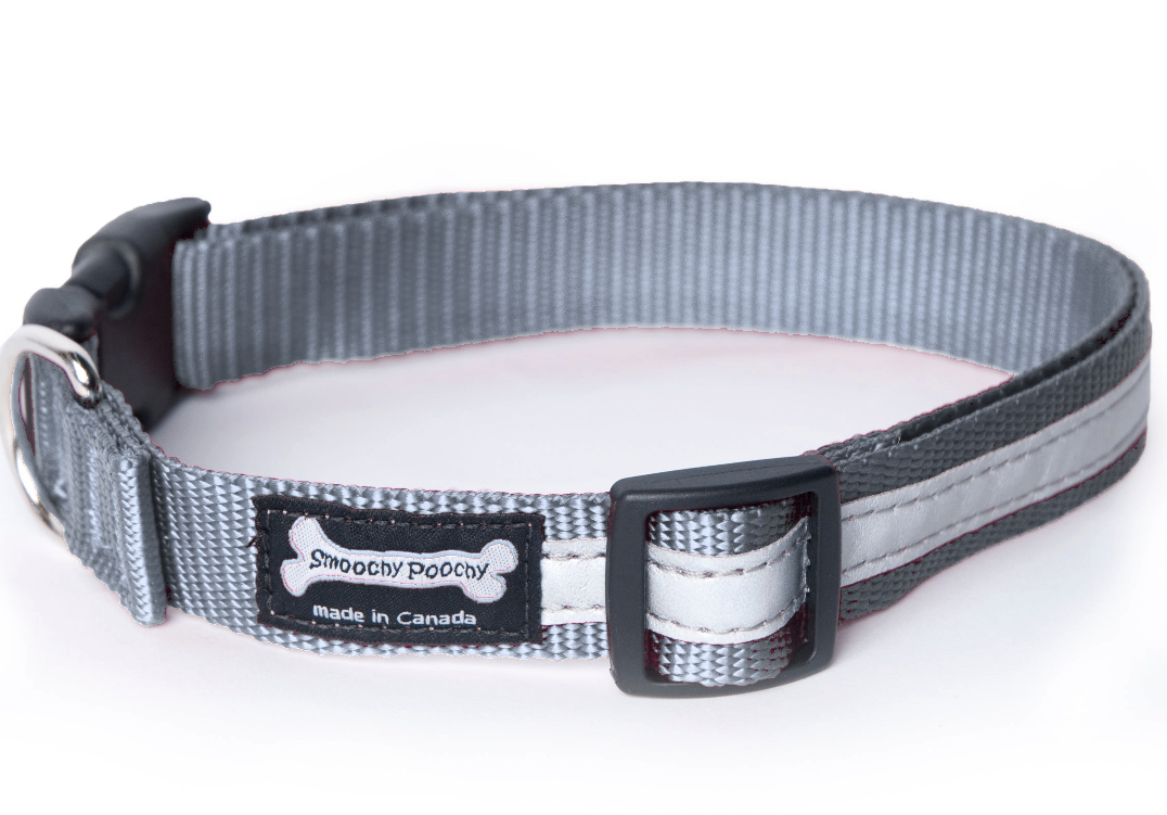 Smoochy Poochy Nylon Reflective Dog Collar