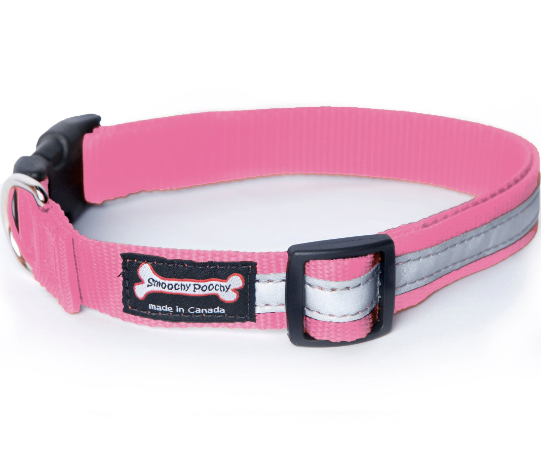 Smoochy Poochy Nylon Reflective Dog Collar