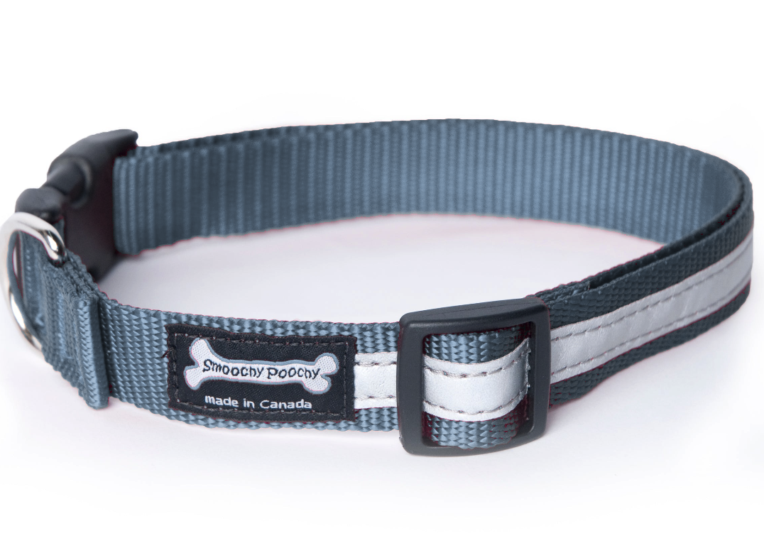 Smoochy Poochy Nylon Reflective Dog Collar