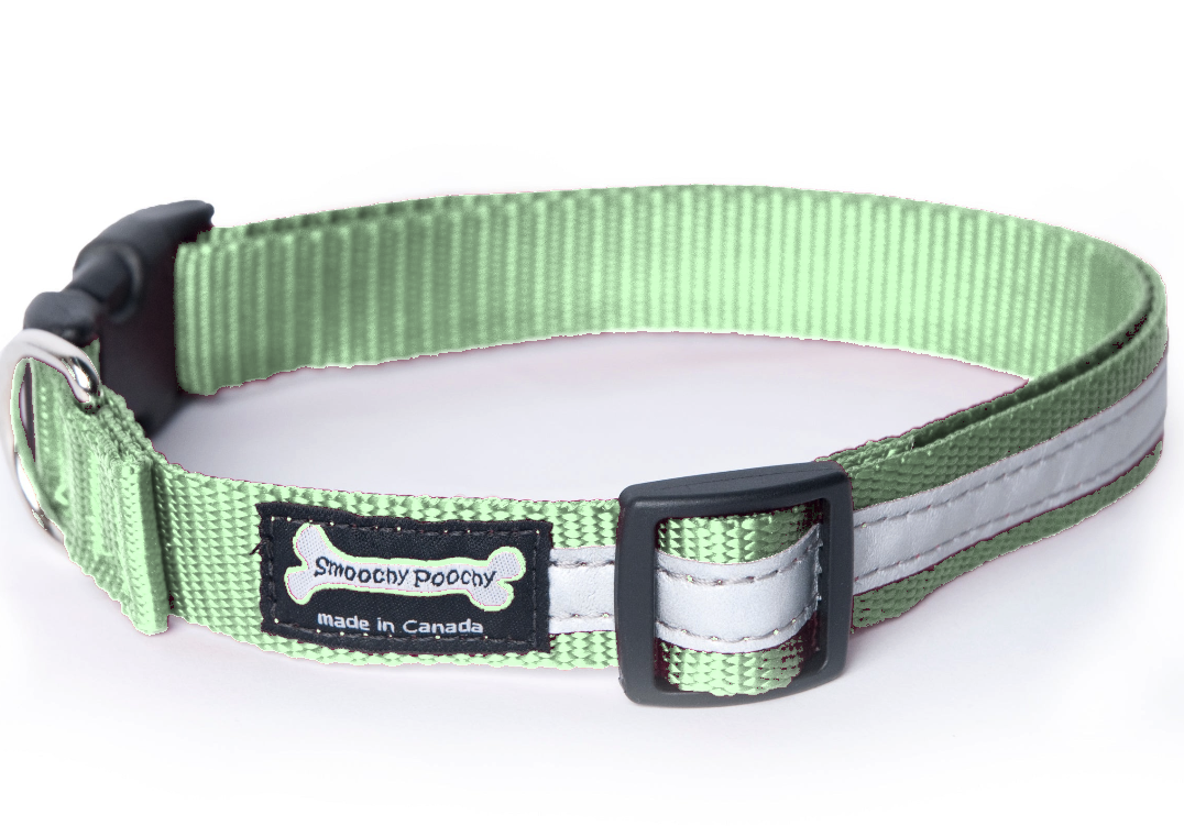 Smoochy Poochy Nylon Reflective Dog Collar
