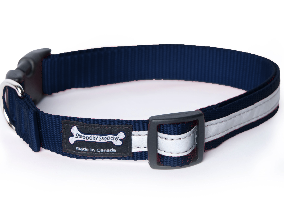 Smoochy Poochy Nylon Reflective Dog Collar