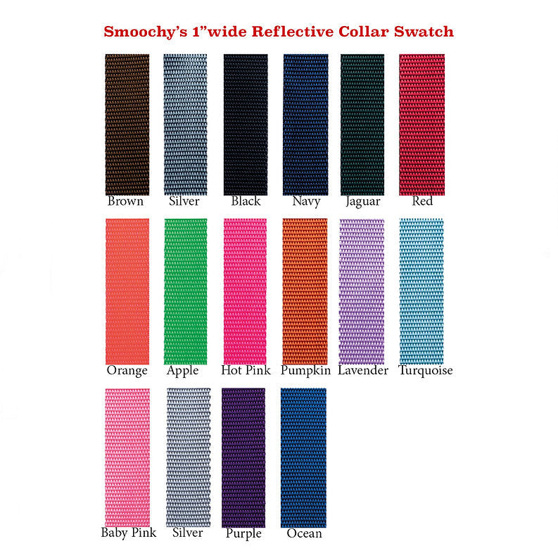 Smoochy Poochy Nylon Reflective Collar
